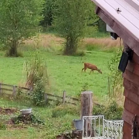 La Du Trappeur 木屋 La Bourgonce