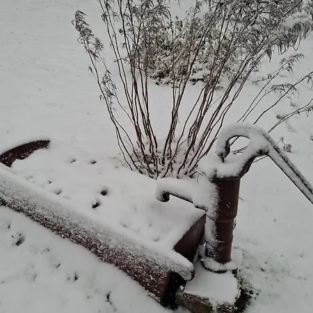 La Du Trappeur * La Bourgonce