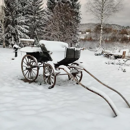 Chalet La Du Trappeur La Bourgonce