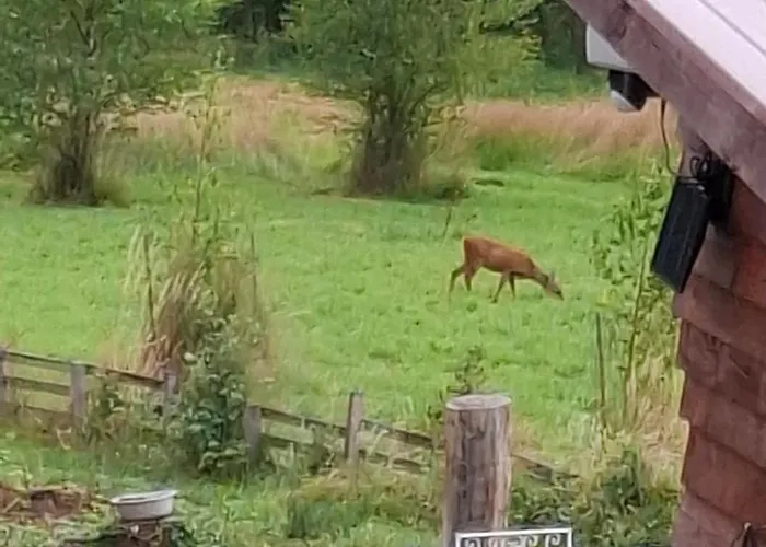 La Du Trappeur Chalet La Bourgonce