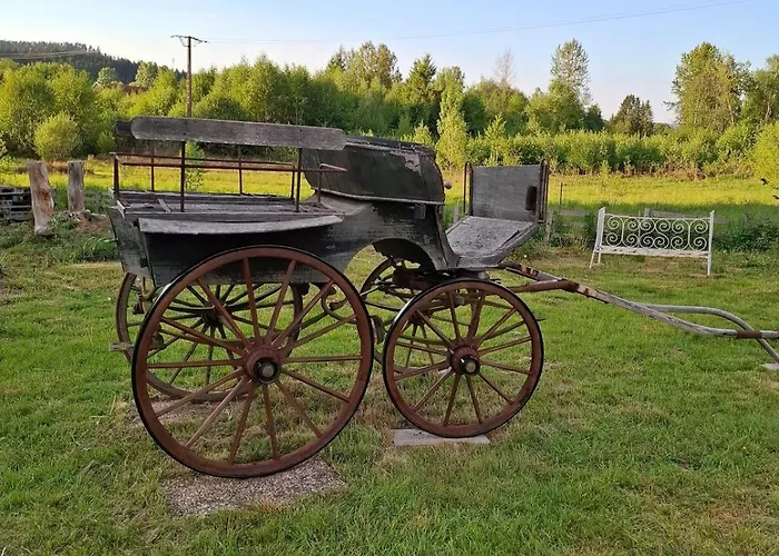 Chalet La Du Trappeur La Bourgonce