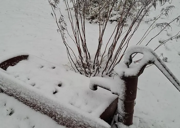 La Du Trappeur * La Bourgonce