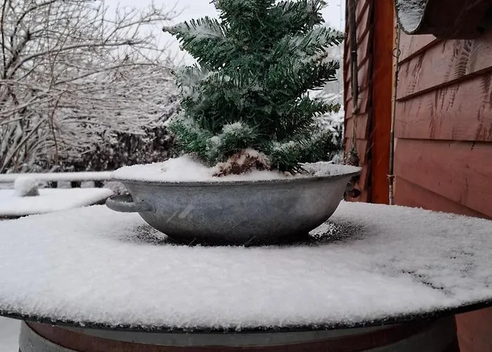 Chalet La Du Trappeur *