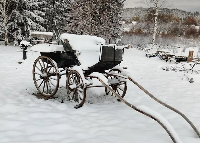 Chalet La Du Trappeur La Bourgonce